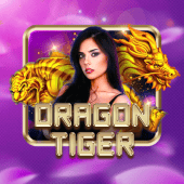 Dragon Tiger Nano Gaming