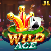 Wild Ace Nano Gaming